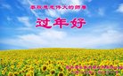 ֹ,ʡ󷨵ӹףʦ(24)