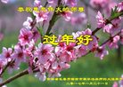 Published on 1/24/2017 ���ֹ�,���Ƿ���Ѻ�Ĵ󷨵��ӹ�ףʦ�������(19��)