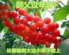 ֹ,󷨵ӹףʦ(22)