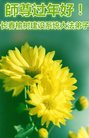 法轮功,长春大法弟子恭祝师尊新年好(22条)