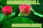 ֹ,󷨵ӹףʦ(22)