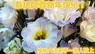 ֹ,󷨵ӹףʦ(22)