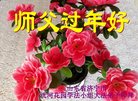 Published on 1/25/2017 ���ֹ�,��½�󷨵��ӹ�ףʦ�������(25��)