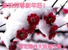 Published on 1/26/2017 ���ֹ�,��½�󷨵��ӹ�ףʦ�������(25��)