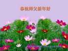 ֹ,żҿڴ󷨵ӹףʦ(24)
