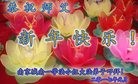 Published on 1/25/2017 ���ֹ�,��½30ʡ�д󷨵�������ʦ����꣡