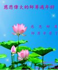ֹ,ൺ󷨵ӹףʦ(24)