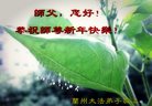 ֹ,󷨵ӹףʦ(21)