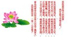 ֹ,ൺ󷨵ӹףʦ(24)
