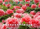 ֹ,ɹŴ󷨵ӹףʦ(30)