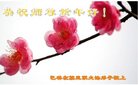 ֹ,ɹŴ󷨵ӹףʦ(30)