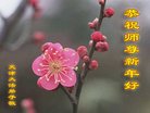 ֹ,󷨵ӹףʦ(23)