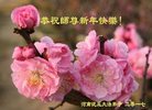 ֹ,ϴ󷨵ӹףʦ(26)