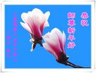 ֹ,󷨵ӹףʦ(24)