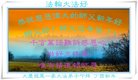 法轮功,大庆大法弟子恭祝师尊新年好(24条)