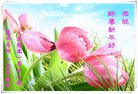 ֹ,󷨵ӹףʦ(24)