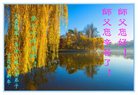 ֹ,󷨵ӹףʦ(24)