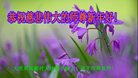 ֹ,󷨵ӹףʦ(22)