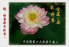 法轮功,张家口大法弟子恭祝师尊新年好(24条)