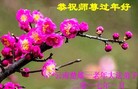 ֹ,ϴ󷨵ӹףʦ(20)