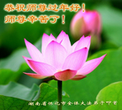 法轮功,湖南大法弟子恭祝师尊新年好(23条)