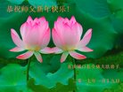 ֹ,󷨵ӹףʦ(24)