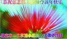 ֹ,󷨵ӹףʦ(25)