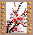 Published on 1/25/2017 ���ֹ�,��½�󷨵��ӹ�ףʦ�������(33��)