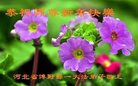 ֹ,󷨵ӹףʦ(25)