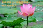法轮功,陕西大法弟子恭祝师尊新年好(25条)