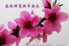 ֹ,㶫󷨵ӹףʦ(24)