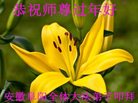 ֹ,մ󷨵ӹףʦ(26)