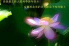ֹ,մ󷨵ӹףʦ(26)