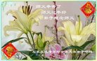 Published on 1/24/2017 ���ֹ�,����ϵͳ�󷨵��ӹ�ףʦ�������(22��)