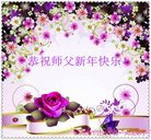 法轮功,大连大法弟子恭祝师尊新年好(25条)