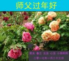 ֹ,ϴ󷨵ӹףʦ(26)