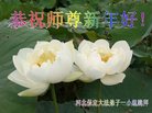 ֹ,󷨵ӹףʦ(21)