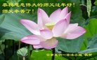 法轮功,云南大法弟子恭祝师尊新年好(18条)