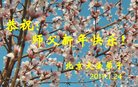 ֹ,󷨵ӹףʦ(25)