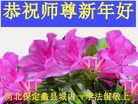 ֹ,󷨵ӹףʦ(21)
