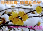 法轮功,广东大法弟子恭祝师尊新年好(21条)
