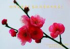法轮功,广东大法弟子恭祝师尊新年好(21条)