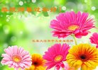 ֹ,󷨵ӹףʦ(25)