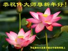 法轮功,廊坊大法弟子恭祝师尊新年好(27条)