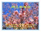 ֹ,ൺ󷨵ӹףʦ(20)