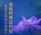 法轮功,北京大法弟子恭祝师尊新年好(24条)