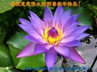 ֹ,󷨵ӹףʦ(23)