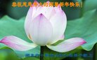 ֹ,󷨵ӹףʦ(23)