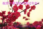 ֹ,㶫󷨵ӹףʦ(21)