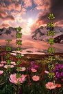 ֹ,󷨵ӹףʦ(23)
